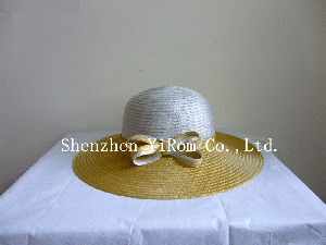 straw hat, sun hat,beach hat,YRLS14001